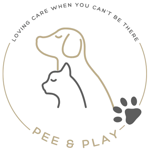 Pee & Play – Pet Care Service